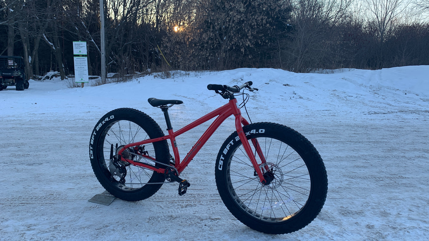 Garneau Big WIll fatbike Jr 26po