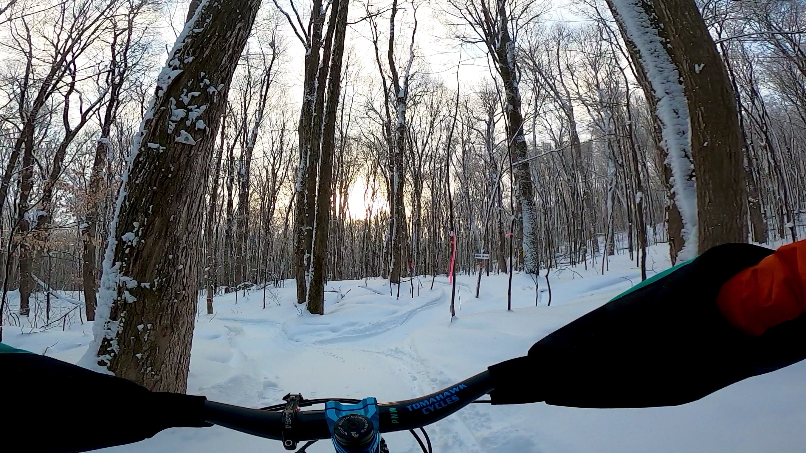 Charger la vidéo : 